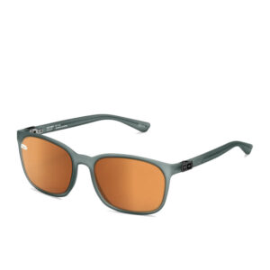 Gi22 Amadeus